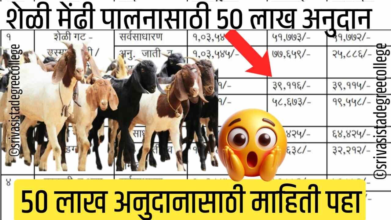 शेळी-मेंढीपालनासाठी मोठी संधी! आता मिळणार ५० लाखांपर्यंत अनुदान; असा करा अर्ज Shelipalan Anudan Yojana