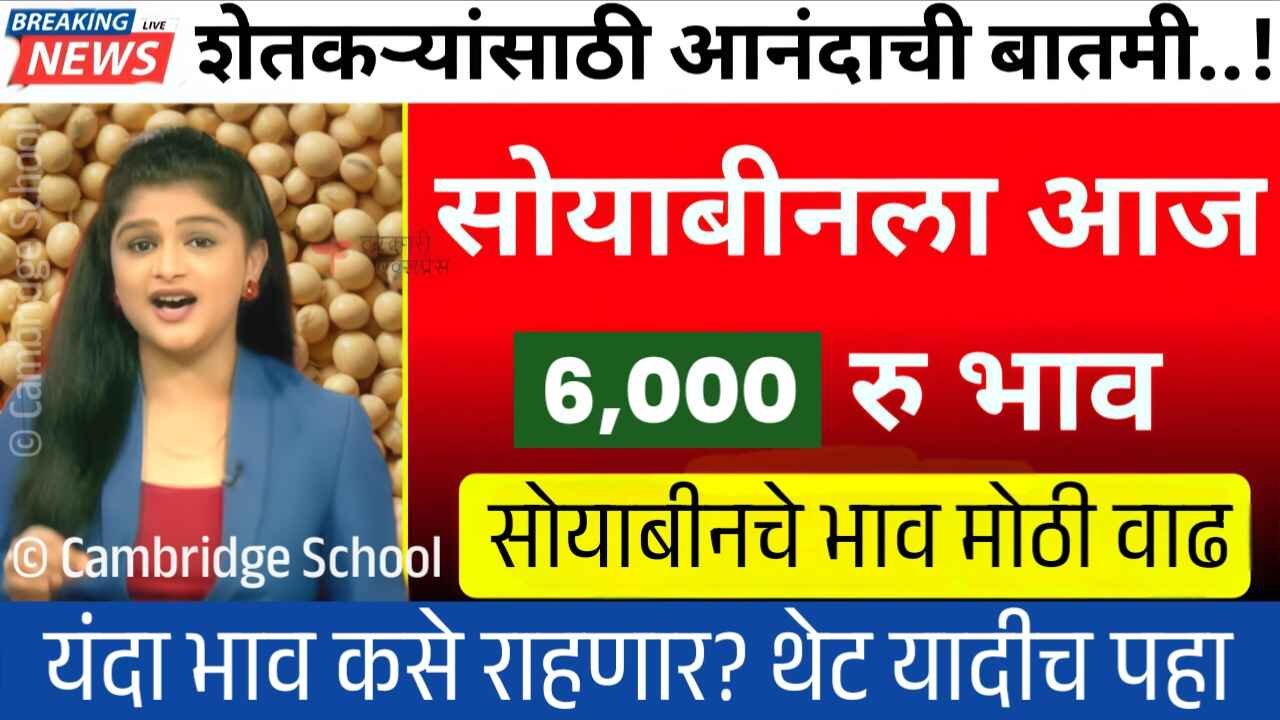 ब्रेकिंग न्यूज: सोयाबीनच्या भावात प्रचंड मोठी वाढ; भावात खूपच बदल! ‘येथे’ 6000 भाव मिळाला Soybean Rate Today