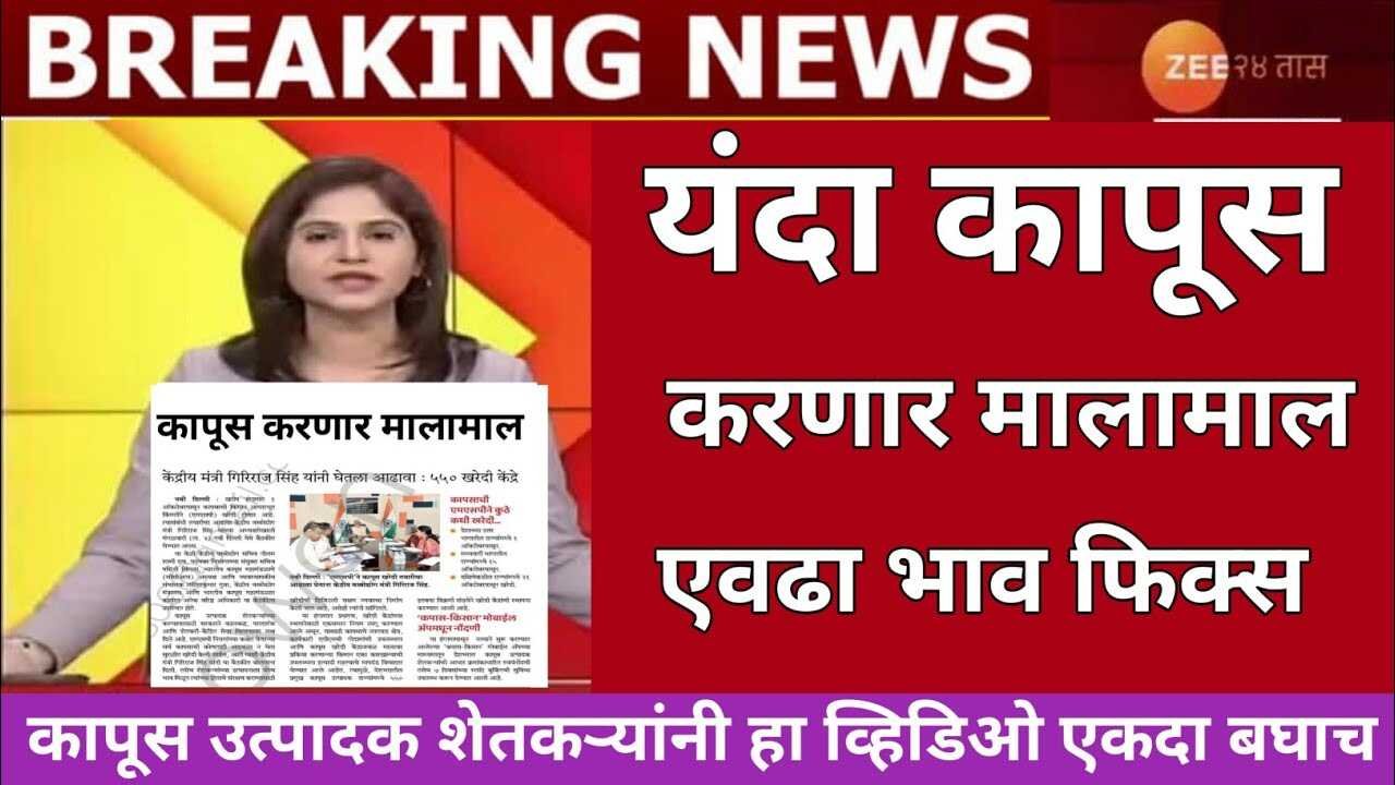 कापसाच्या भावात मोठा बदल; कापसाचे आजचे लाईव्ह बाजार भाव पहा Cotton Rate Today